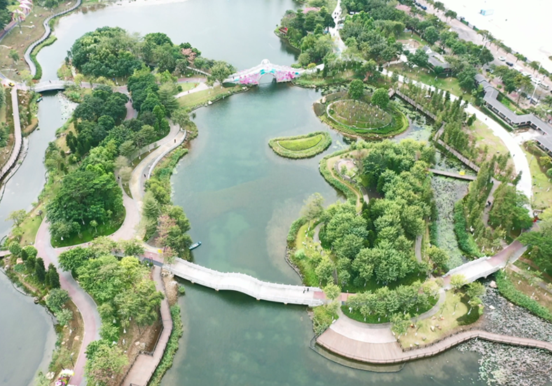 重建水下生態(tài)系統(tǒng)，提升水體自凈能力