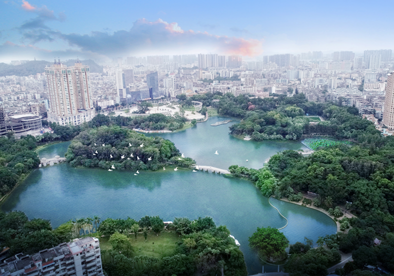 “水下森林”景觀，擦亮綠色低碳城市名片